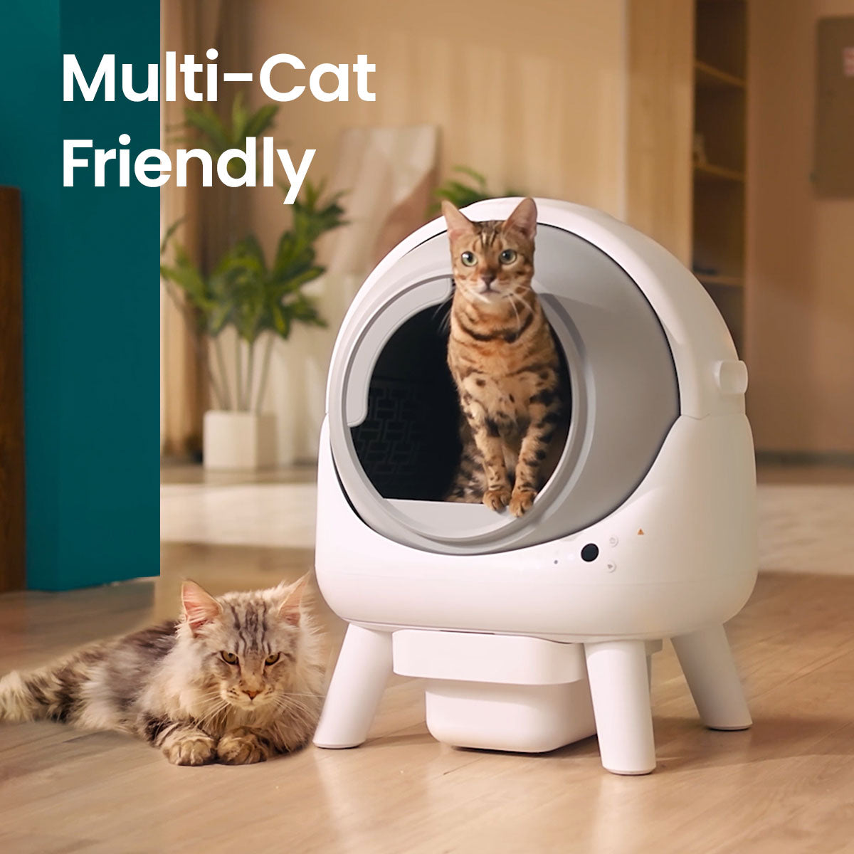 Els Pet Orbitie Self Cleaning Litter Box Love Lasts Long Bundle