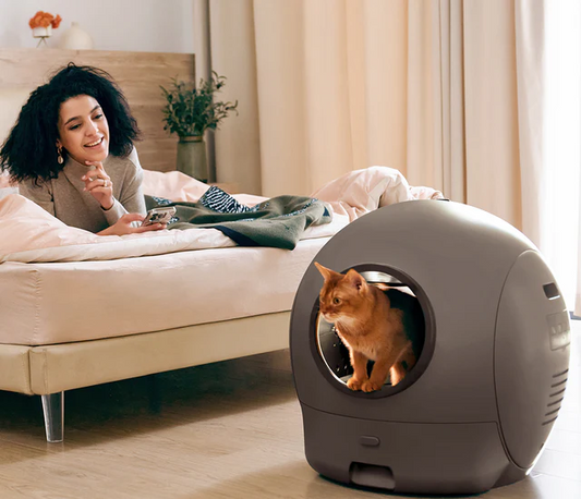 Why Spaceship II Is the Safer, Smarter Choice for Your Cat Families？