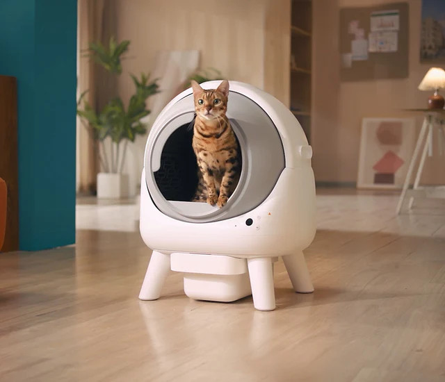 Meet Orbitie—the Smart Litter Box That Changes Everything